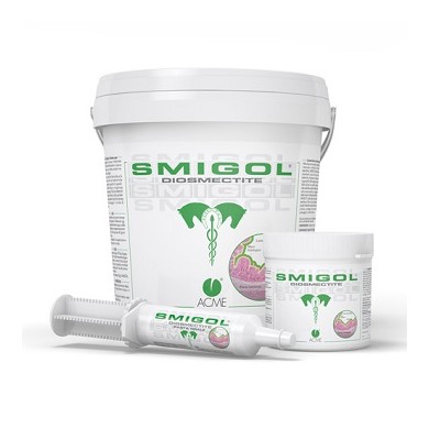 SMIGOL POLVERE 1KG