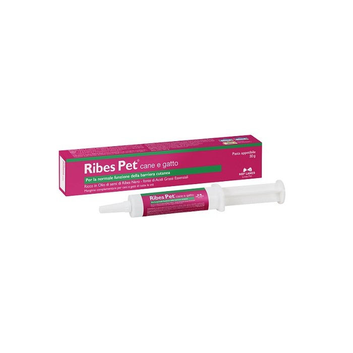 RIBES PET PASTA 30G