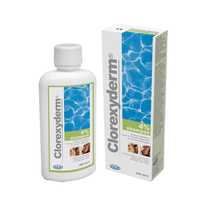 CLOREXYDERM SH 4% 250ML