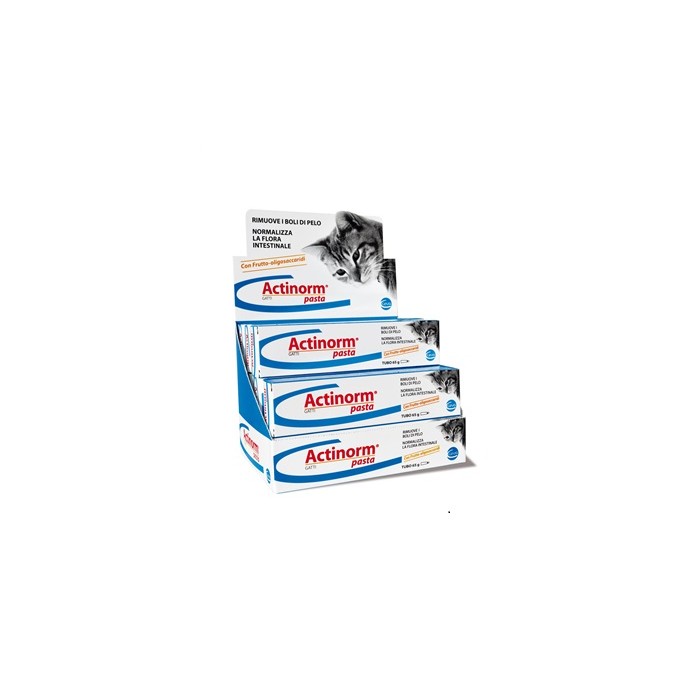 ACTINORM PASTA GATTI 65G