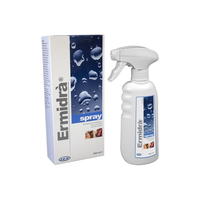 ERMIDRA' SPRAY 300ML