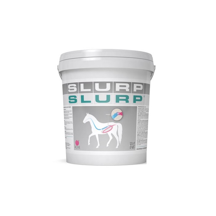 SLURP POLVERE 10KG