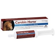 CAROBIN HORSE PASTA 100G