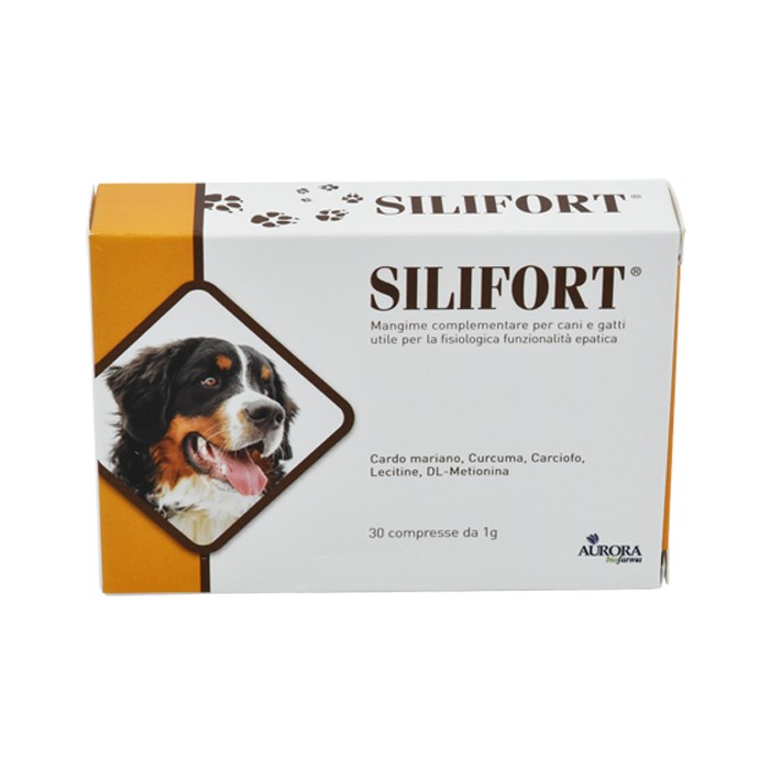 SILIFORT 30CPR 1G 