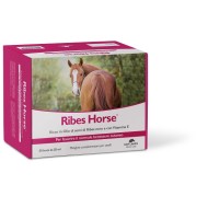 RIBES HORSE 30BUST