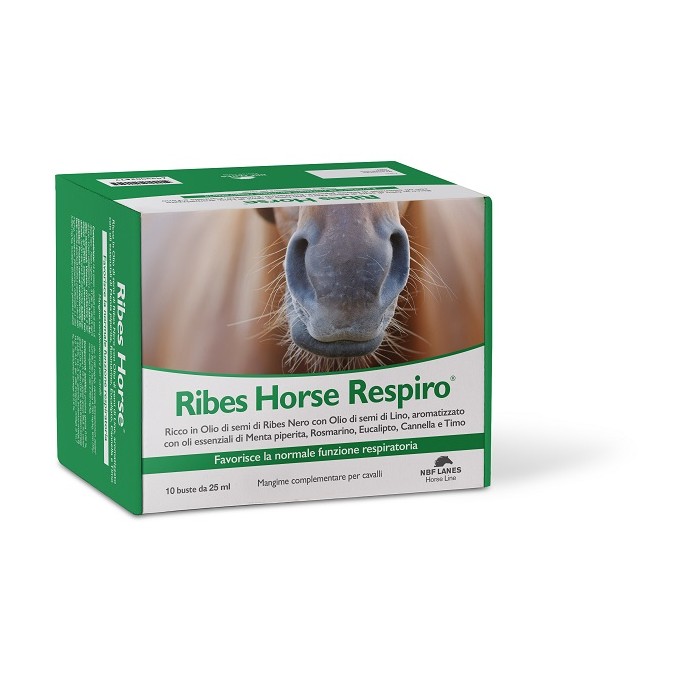 RIBES HORSE RESPIRO 10BUST