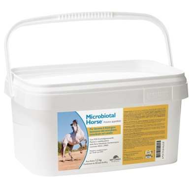 MICROBIOTAL HORSE 20BUST