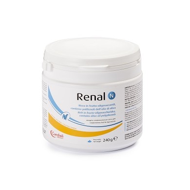 RENAL N 240G