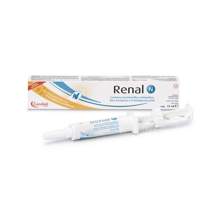 RENAL N PASTA 15ML