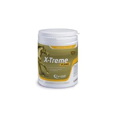 X-TREME FLAME 450G