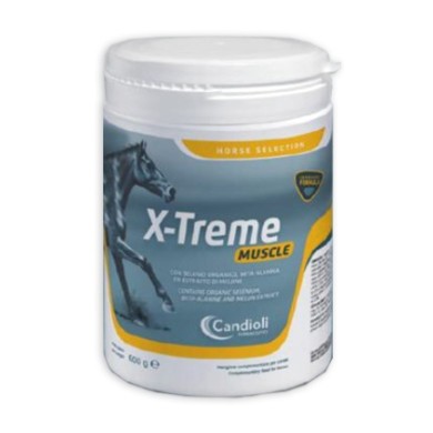 X-TREME MUSCLE 600G