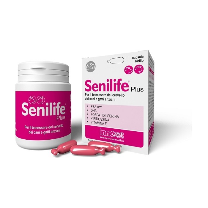 SENILIFE PLUS 60CPS